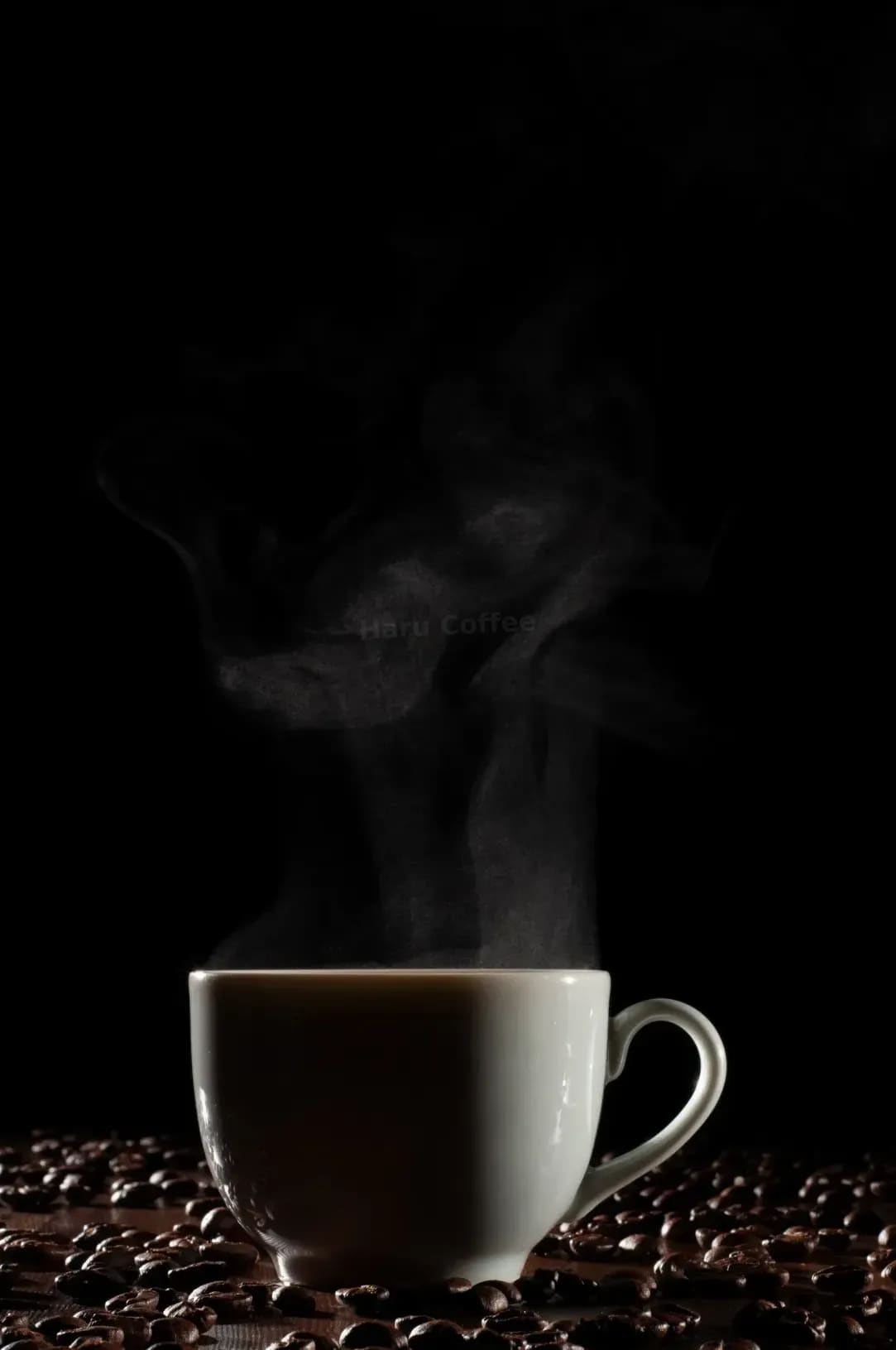 Haru Coffee 11
