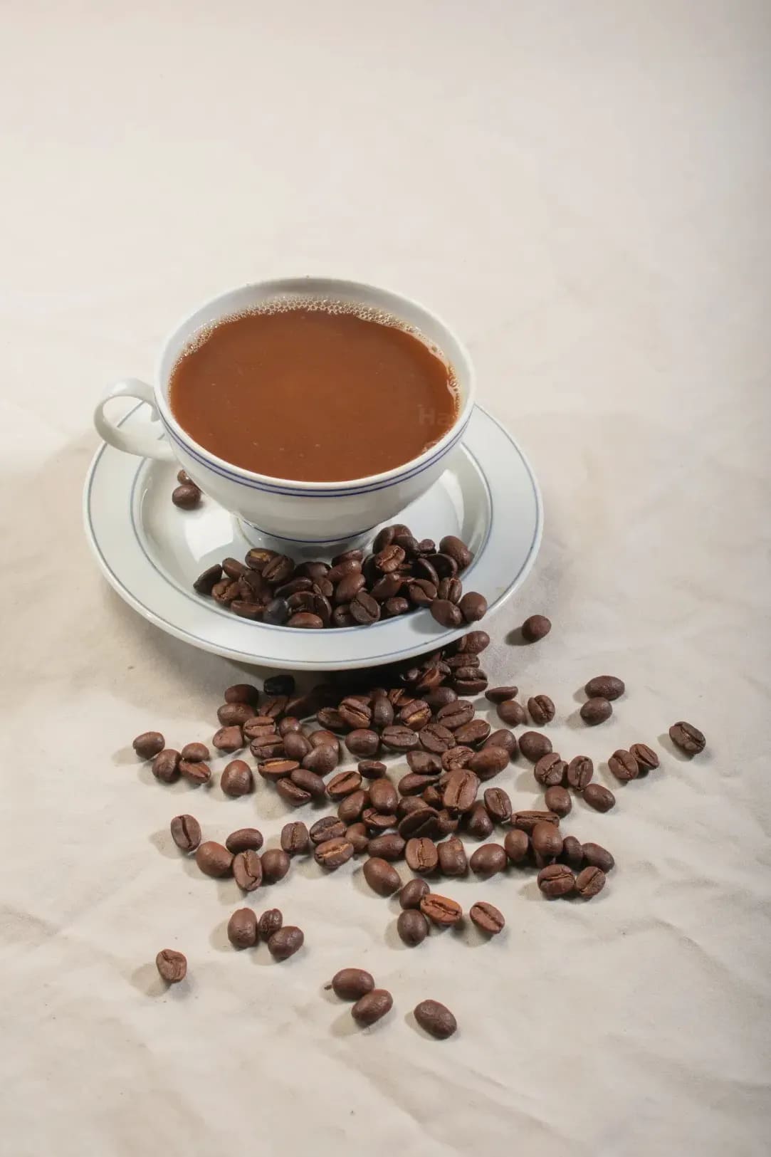 Haru Coffee 14
