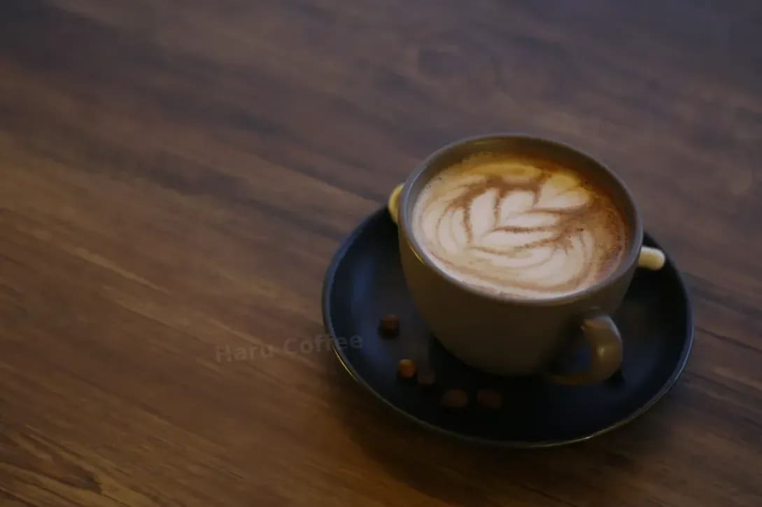 Haru Coffee 9